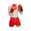 Leone 1947 boxerské rukavice Ambassador - červené