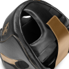 hayabusat3chinless blackgold topdetail