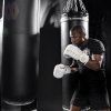 mayweather champ stylizedwhite img8