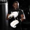 mayweather champ stylizedwhite img7