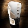 mayweather champ stylizedwhite img2