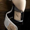mayweather champ stylizedwhite img4