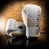 mayweather champ stylizedwhite img1