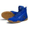 hayabusa boxingshoe blue mainshotupdate 2024