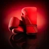 t360 stylized img1 red square