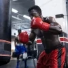 Hayabusa Pro Boxing Gloves Red 6