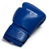 Hayabusa Pro Boxing Gloves blue 4