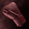 t360 cabernet amazon point out 01