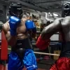 pro boxing 1080x1080 social 13