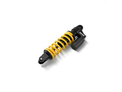 GYT F2210 01 00 Paioli rear shock absorber Studio 001