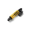 GYT F2210 01 00 Paioli rear shock absorber Studio 001
