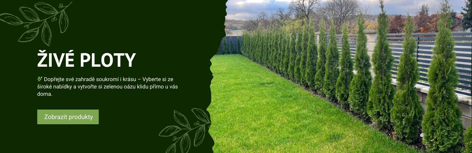 živé ploty