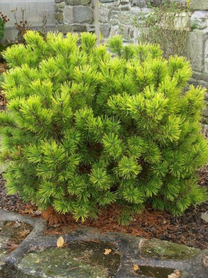 Návrh bez názvu (93)