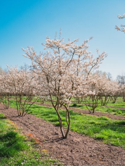 Návrh bez názvu (56)
