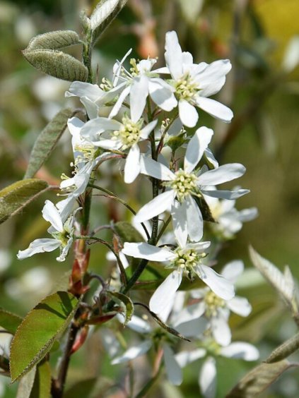 Návrh bez názvu (57)