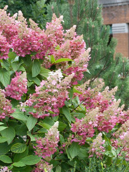 Návrh bez názvu (74)