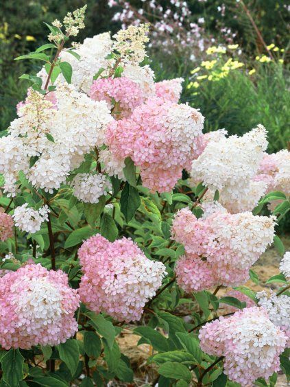 Návrh bez názvu (95)