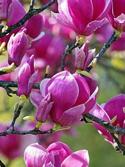 Návrh bez názvu (78)