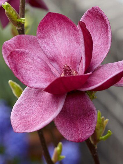 Návrh bez názvu (79)