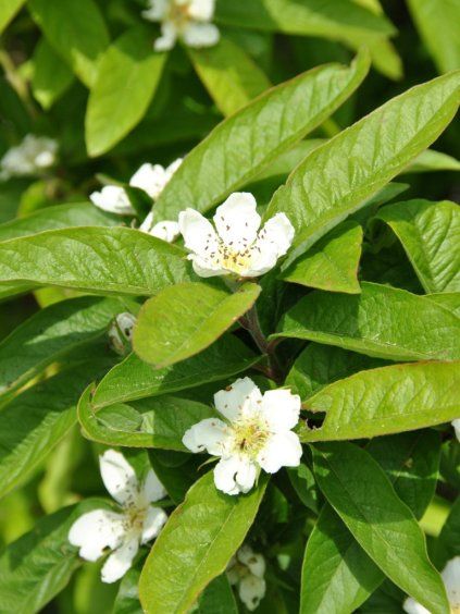 Návrh bez názvu (84)