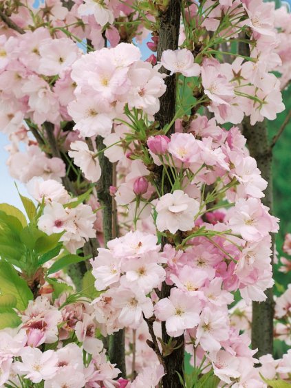 Návrh bez názvu (94)