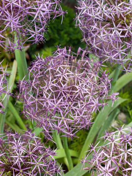 Návrh bez názvu (55)