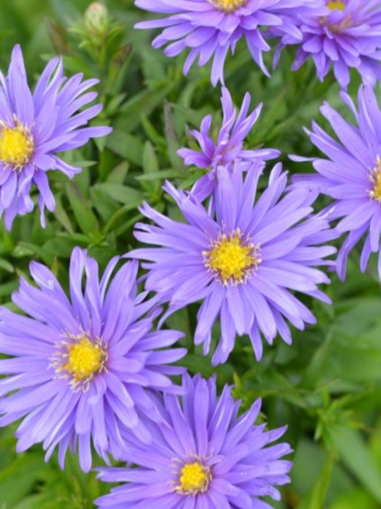 Návrh bez názvu (58)