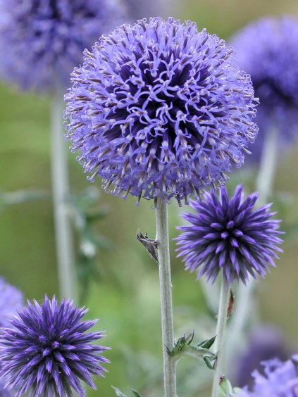 Návrh bez názvu (64)