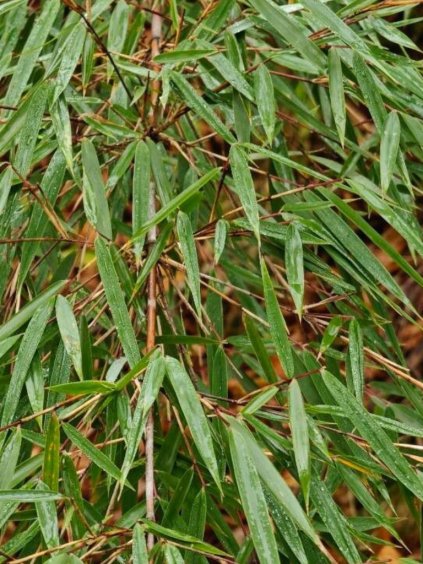 Návrh bez názvu (67)