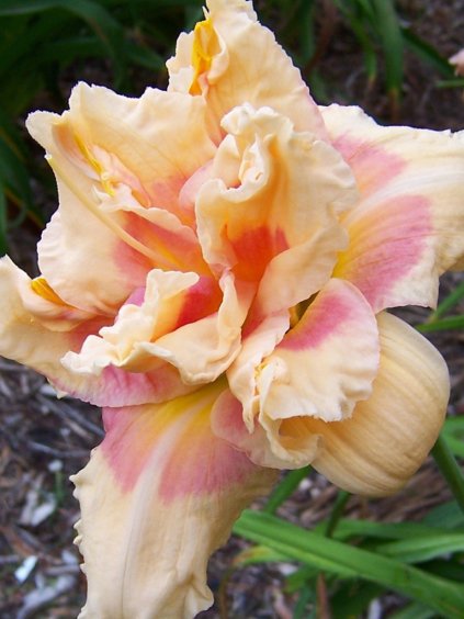 Návrh bez názvu (70)