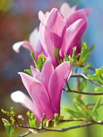 Návrh bez názvu (80)