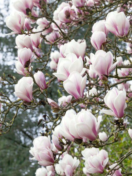 Návrh bez názvu (81)