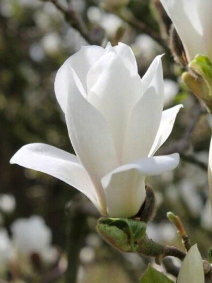 Návrh bez názvu (82)