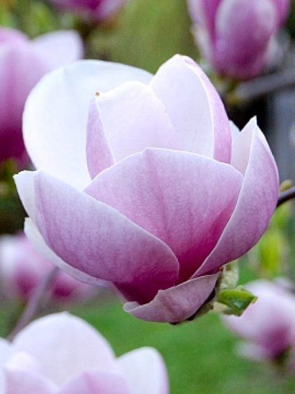 Návrh bez názvu (83)