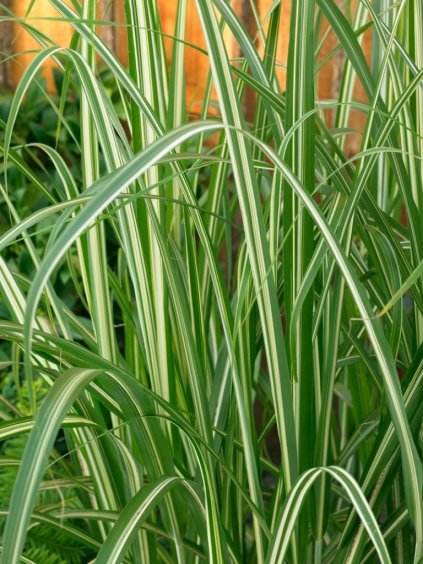 Návrh bez názvu (85)