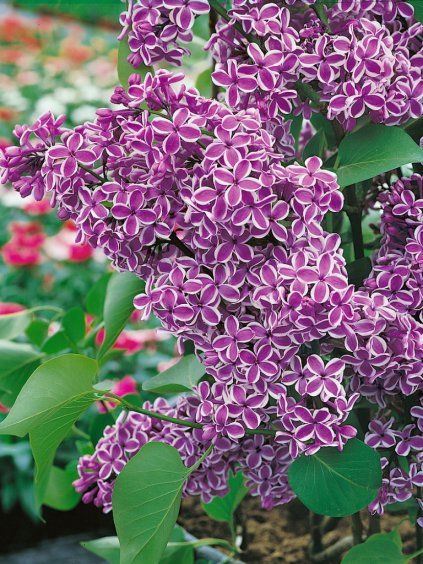 Návrh bez názvu (96)