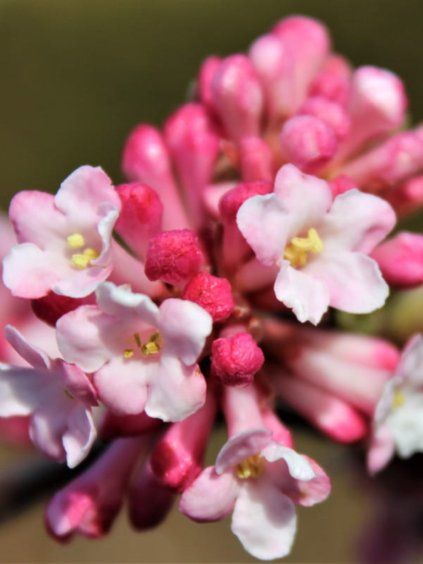 Návrh bez názvu (98)