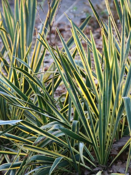 Návrh bez názvu 2025 08 28T063430.679