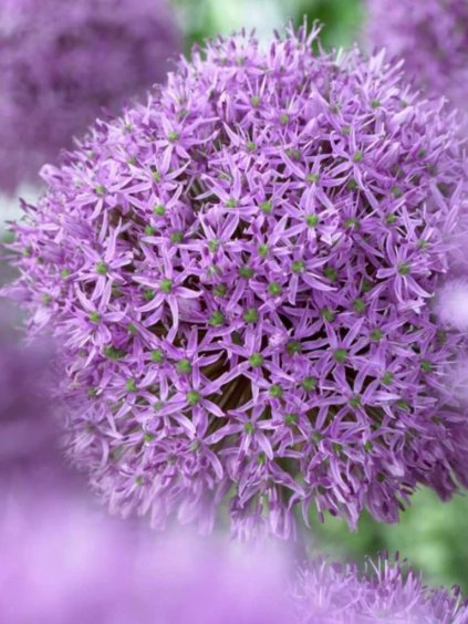 Návrh bez názvu (52)