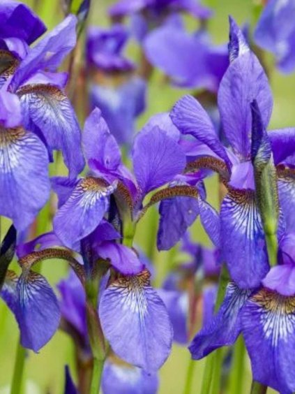 Návrh bez názvu (76)