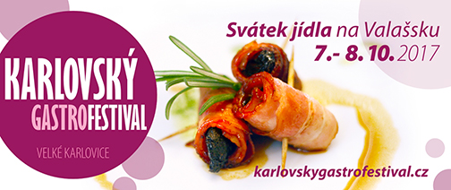 Již tento víkend budu s Mňamis dobrotami na Karlovském gastrofestivalu!