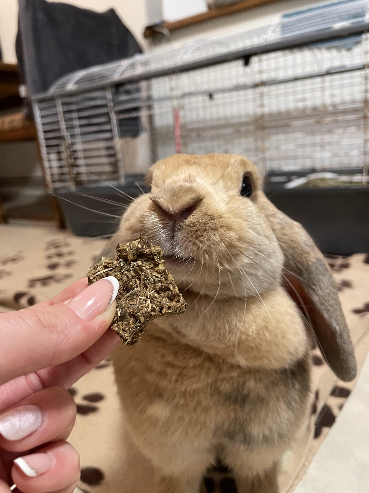 Mňamky, které pomáhají