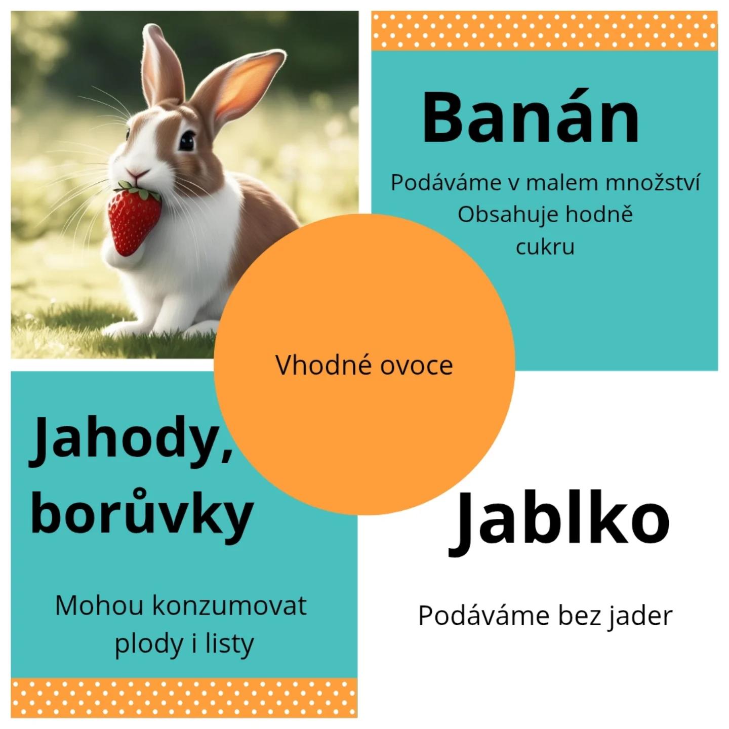 Co by nemělo chybět v králičím jídelníčku