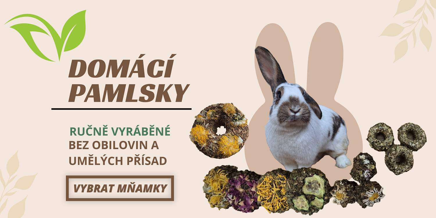 Vyrábíme přírodní pamlsky pro králíky ručně a s důrazem na kvalitu. Naše domácí mňamky neobsahují chemii ani umělé přísady a podporují zdravé trávení. Každý produkt je testovaný naším králíčkem Zoe.