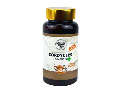 Cordyceps sinensis plus, zvýšenie libida, energia