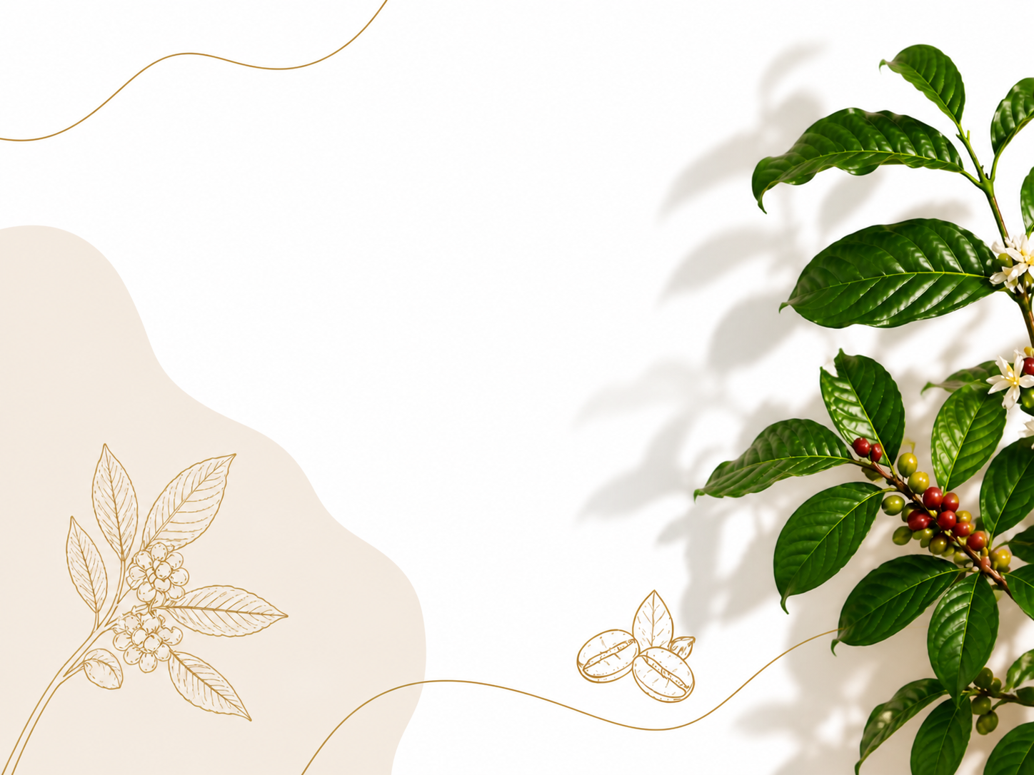 COFFEA