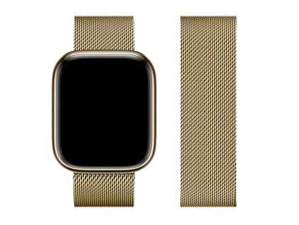 Řemínek pro Apple Watch 42mm / 44mm / 45mm / 49mm - Hoco, WA03 SimpleBeauty Vintage Gold