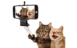 Pojmy ze světa telefonů