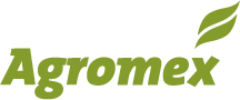 Primary Raster logo