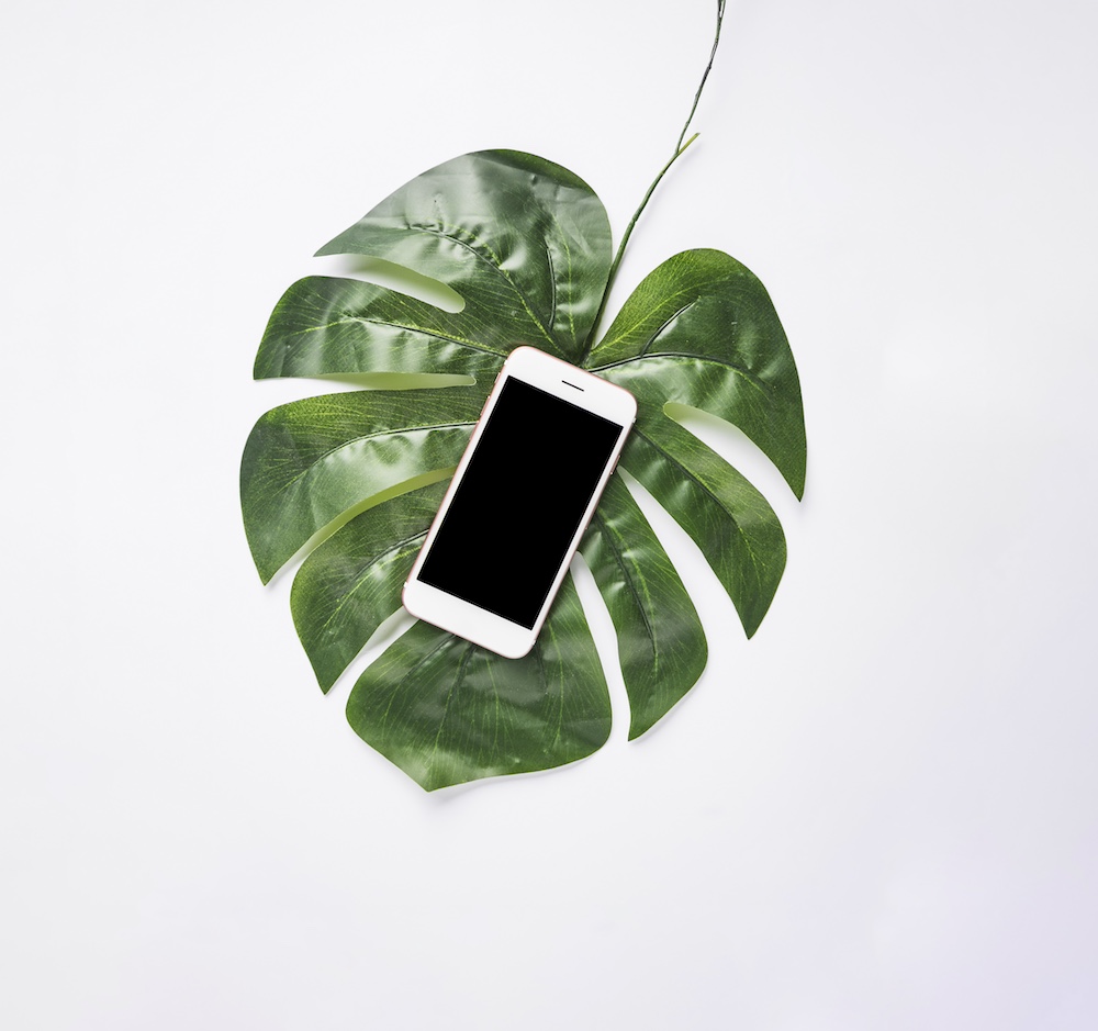 office-desktop-with-mobile-phone-monstera-leaf